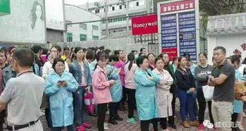 0 电子产品世界