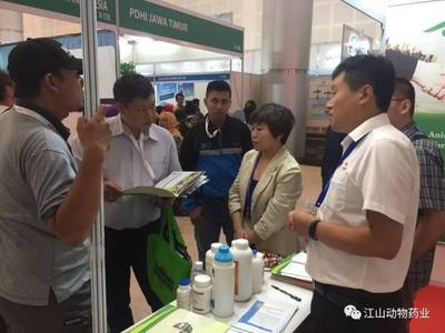 印度尼西亚国际贸易博览会,江山集团满载而归!