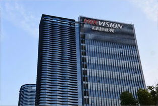 一条街上七家上市公司 杭州高新企业的江山集团现象