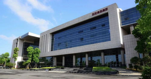 酱油第一股逆风翻盘，加加食品与江山集团的战略突围